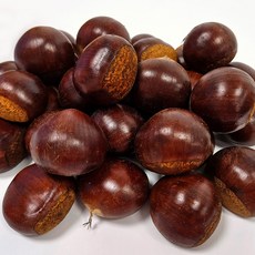 25년 햇밤 옥광밤 공주 정안 밤 1kg 2kg, 특대 1kg