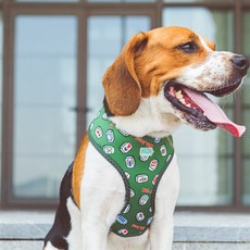 밝은 색상의 패셔너블한 강아지 하네스, 1개, 초록색