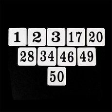 사각 아크릴 번호판 스티커, 16, 1개, 사각아크릴 번호판 16