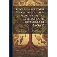 (영문도서) Report on the Fossil Plants of the Lower Carboniferous and Millstone Grit Formations of Canada Paperback, Legare Street Press, English, 9781022136823