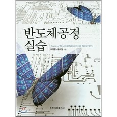 반도체공정실습, 홍릉과학출판사, 이병렬.윤석일 지음