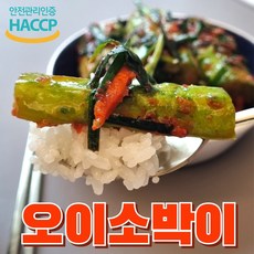 맛곳간 한입 아삭 오이소박이 국산 김치, 5kg, 1개