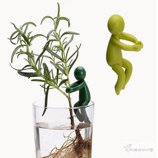 미래템 수경재배 식물고정 지지대 3p 지주대