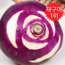 [산지직송]왕꿀맛집 다이어트 고당도 햇 제주 콜라비, 1박스, 5kg