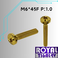 ROYAL 鈦合金螺絲 M6*45F P:1.0 飛碟頭螺絲 - 土豪金, 1個