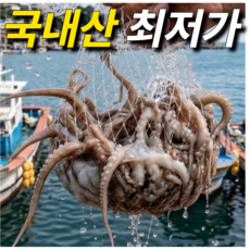 국내산 서해안 알배기 활 쭈꾸미 당일조업 산란기 제철, 1박스, 2kg