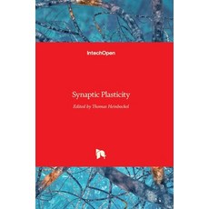 (영문도서) Synaptic Plasticity Hardcover, Intechopen, English, 9789535132332