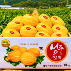 [마지막할인] 당일수확 고당도 성주 꿀참외, 1개, 3kg