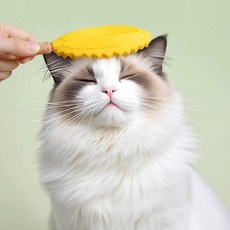 펫쭈 강아지 고양이 양면 브러쉬 반려동물 실리콘 빗 죽은털 정리 털날림방지, 노랑, 1개