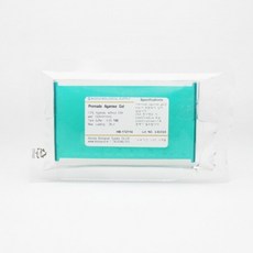 전기영동 아가로스 겔 1.5% TAE (None Stain) 12well Premade Agarose Gel/생물 과학 실험 재료