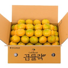 제주남원농협 하우스감귤, 1개, 소과 2kg (3S)