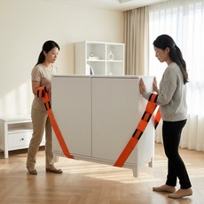 이사짐 가구 운반 스트랩 벨트 2P 구성 고급형, 1개