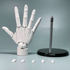 손 마네킹 피규어 관절 오른손 장식 손관절 소품 모형, 스킨톤 왼손, 1개, 기본 색상