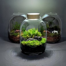 테라리움 키트(조명포함) 제주돌담 BOM 이끼 테라리움만들기세트 비단이끼, 1개
