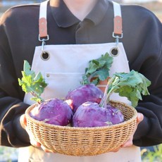 국내산 제주 콜라비1kg 3kg 5kg 산지직송 고당도 빠른배송, 1kg, 1박스