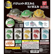 BANDAI 生物大圖鑑 圓眼珍珠蛙與角蛙 扭蛋 轉蛋, 整套 5款