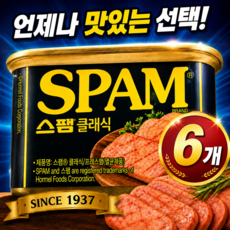 스팸 클래식 340g x 6개 CJ 대용량 실속구성