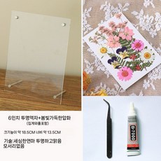 아크릴 압화 프레임 DIY 재료 드라이 공방 선물, 사진 참조, 1개, B. 6인치 봄 정원 풍경