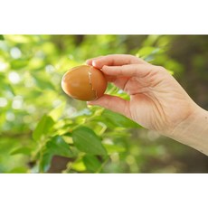 HACCP인증 국내산 구운계란 구운란 중란 1판, 2개, 20구
