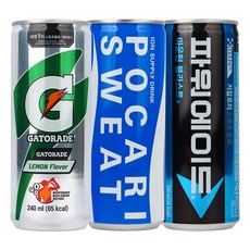 [제트스카이] 스포츠 이온 에너지 음료 세트 240ml 10캔씩 3종, 30개