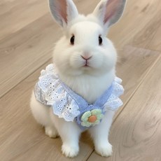 安心寵物精品 兔子牽繩 兔子外出牽繩 遛兔繩 胸背帶 牽繩網紅兔兔衣服帶牽引繩泰迪, 1個, 可爱兔兔牵引衣配绳-1.2米,S-建议3-5斤 标准参考胸围