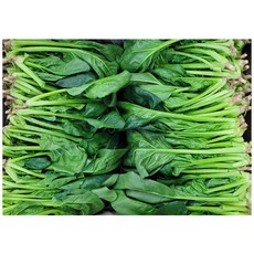 야채왕 싱싱한 시금치 200g 500g 1kg, 1개