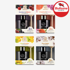 불스원 프리미엄 그라스 차량용 디퓨저, 페어&프리지아, 2개