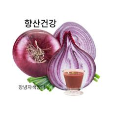 (홍열팜) 빨간양파즙 당뇨 고지혈증영양제, 100개, 110ml