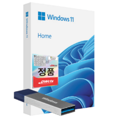 한국 마이크로소프트 정품 윈도우11 Home FPP 처음사용자용 영구제품키 설치USB Windows11, ezPDF