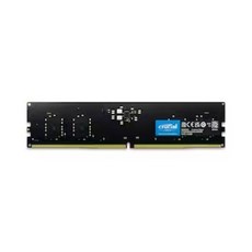 마이크론 Crucial DDR5-5600 CL46 대원씨티에스 (16GB), 1개