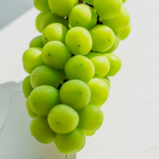 샤인머스켓 프리미엄 고당도 수출용 망고포도 1송이 900g, 1박스, 특등급 프리미엄 샤인머스켓 3수(2.8kg)