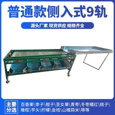 과일 야채 분류 기계 과일선별기 블루베리 귤 감 자두 크기 분리기 분류기 선별기, 일반 측면 진입 9트랙