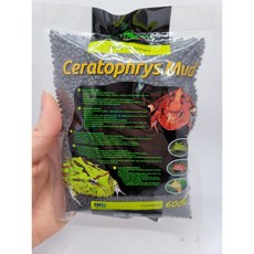 렙티주 팩맨 프로그 소일 600g, 1개