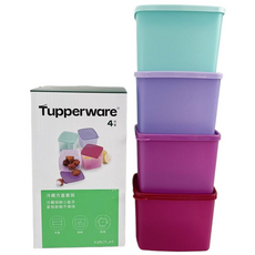 타파웨어 냉장고정리용기 냉동실보관용기, 800ml, 4개