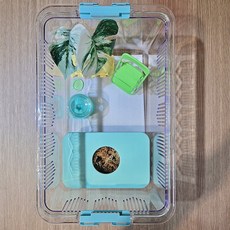 조이클린케이지 대사이즈 5가지색상 크레 도마뱀 파충류 사육장, 1개, 민트