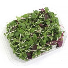 쉐프의정원 어린잎 샐러드 채소, 4개, 500g