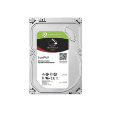 씨게이트 NAS 서버 하드디스크 HDD, 4TB