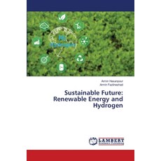 (英文圖書)Sustainable Future: Renewable Energy and Hydrogen 平裝版, LAP Lambert Academic Publis..., 英文