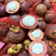 [열대과일의 여왕] 프리미엄 태국산 망고스틴 생과, 1개, 500g