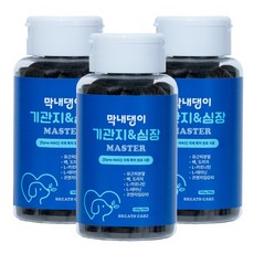 강아지 기관지영양제 심장 호흡기 켁켁거림 기침 거위소리 막내댕이 기관지&심장 마스터 100g, 3개, 호흡기/기관지, 99정