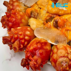 제철 통영 활 멍게 1kg 자연산 꽃 비단멍게 돌멍게 회, 1개, 멍게 1kg 15미 내외