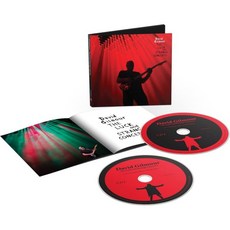 David Gilmour Artist 오디오 CD 앨범 The Luck And Strange 콘서트s Alt Cover 일본 발송
