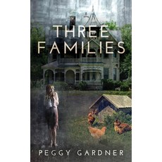 Three Families Paperback, Jetlaunch, English, 9781641844154