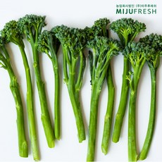 줄기까지 부드러운 채소 브로콜리니, 1kg, 1개