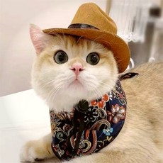 한스밀 강아지 고양이 혼자서도 잘 노는 스트레스 완화 펫 토이 강아지파티아이템, 브라운