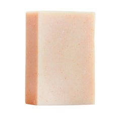 The Soap Days The Source 枸杞人蔘洗髮皂 100g 溫和洗淨 全身適用 敏感肌適用 無香精, 1個