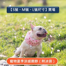 寵愛生活本舖 寵物涼感圍脖 SML號 寵物降溫 涼感造型圍脖 寵物冰圍脖, 1個, 恐龍法鬥,M號, 恐龍法鬥