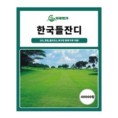 잔디씨 4만립 한국 들잔디 씨앗 산소용 정원용 골프코스 축구장 잔디 씨 아람종묘, 1개