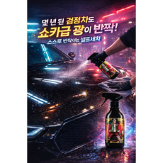 리니꿀템 셀프세차 뿌리는 발수유막코팅스프레이(타월+장갑 포함), 3개, 500ml