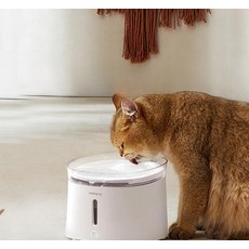 홈런펫 식수대 정수기 호만 분수대 필터 디스펜서, 1개, 필터 솜, 기본 모델명/품번